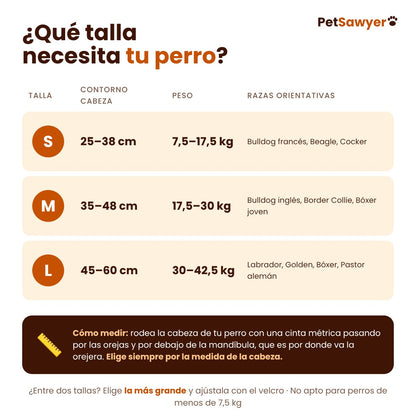 Guía de tallas S, M y L
