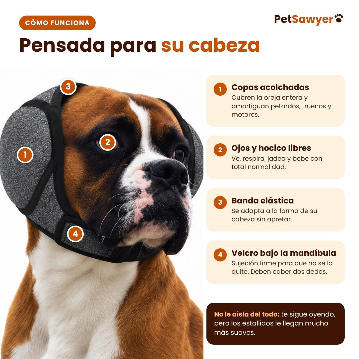 Cómo funcionan: copas acolchadas, ojos y hocico libres, banda elástica y velcro