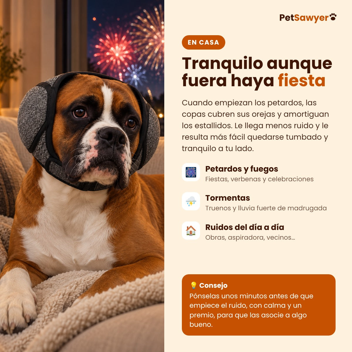 Perro tranquilo en casa con las orejeras mientras hay fuegos artificiales